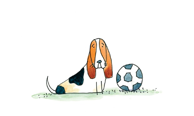 Basset Hound: Sad-looking, inquisitive dogs with an outgoing nature.