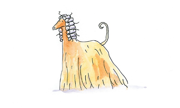 Afghan Hound: Tall, elegant and well behaved dogs with excellent eyesight.