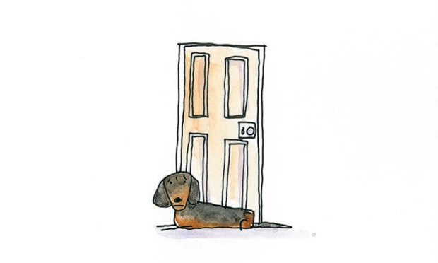 Dachshund: A long, loving and inquisitive dog. 