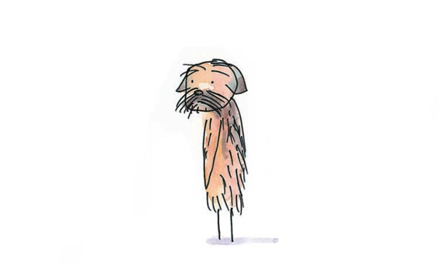 Border Terrier: A small breed with long, strong, restless legs, the Border with not hesitate to remind you it's walkies time.