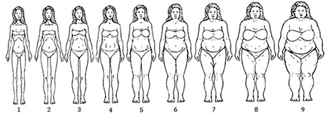 African American women body image scale