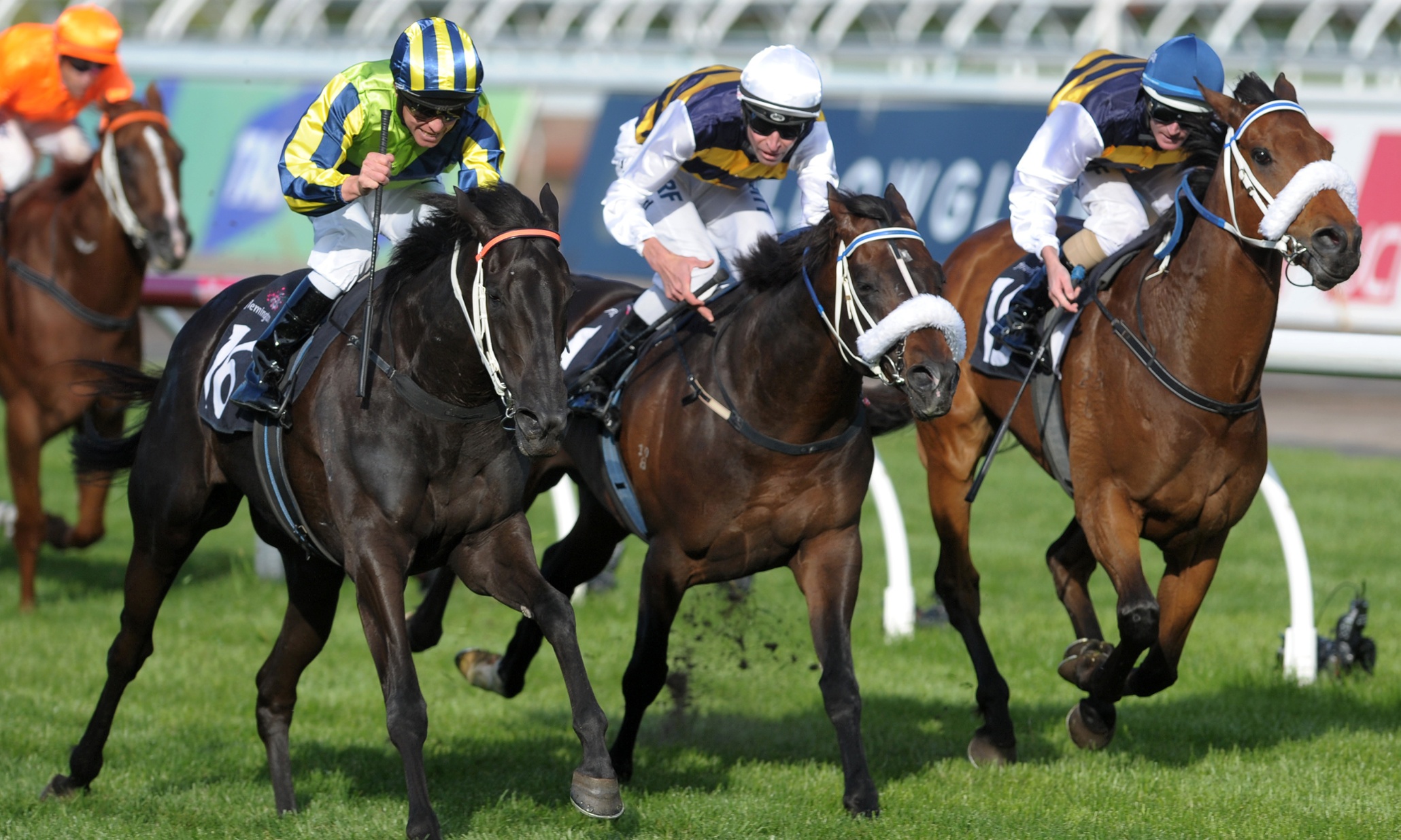 Australian horse racing rocked by slew of positive tests - Horse Racing ...