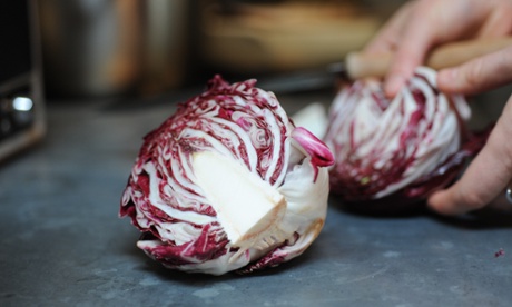 Radicchio