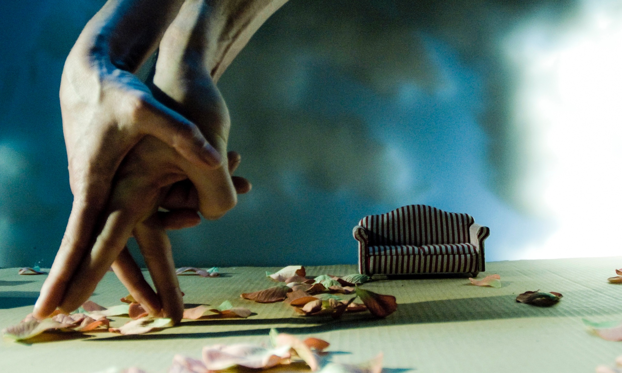 Sydney festival's stand-out show for 2015? Hands down, it's Kiss and Cry