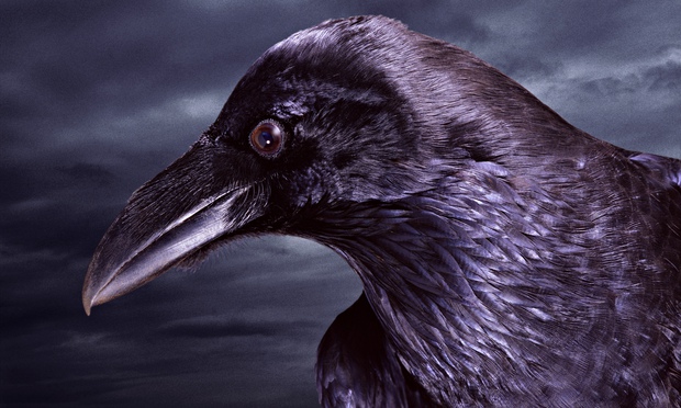 Rationing ravens to merciful monkeys: can animals be altruistic?
