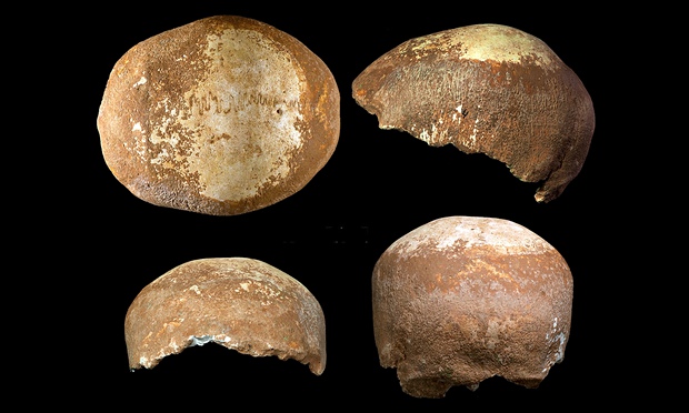 Human-skull-found-western-010.jpg