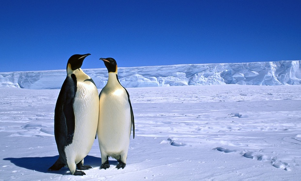 Readers recommend: songs to the power of two | Peter Kimpton