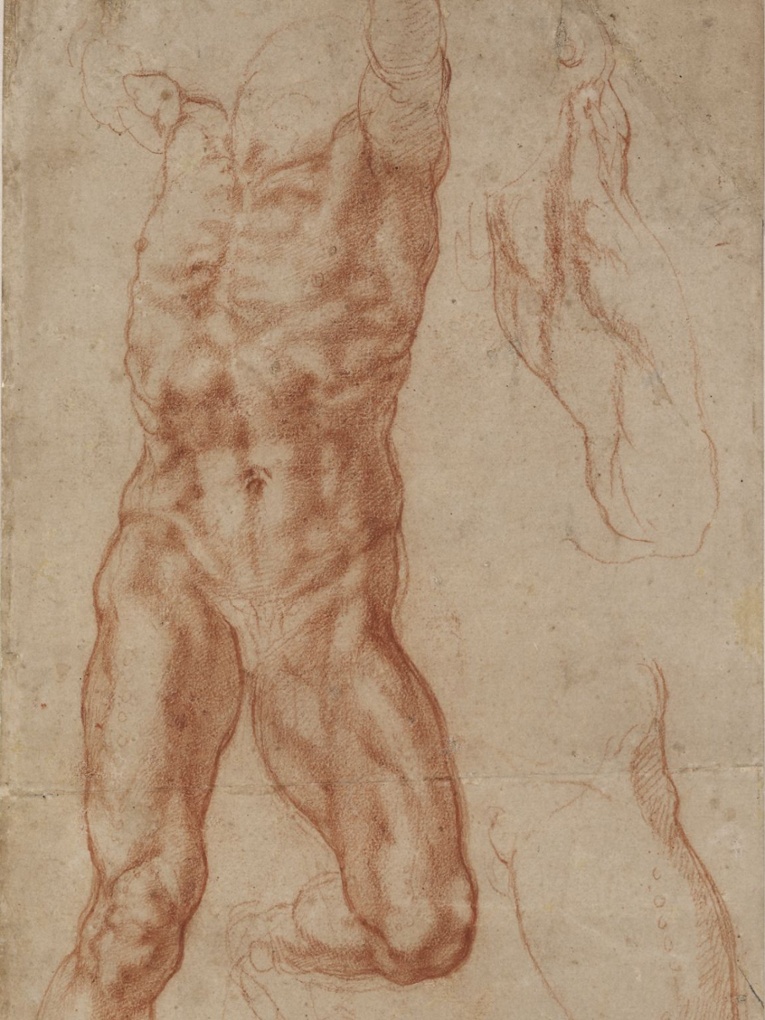 Michelangelo bronzes discovered – in pictures