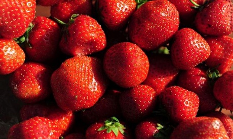 Mono munchers enjoy just strawberries.