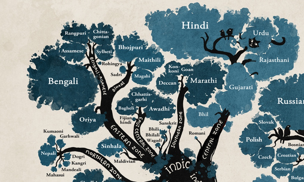 a-language-family-tree-in-pictures-education-the-guardian