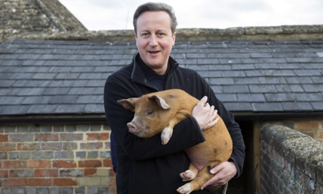 David Cameron holds Florence the piglet