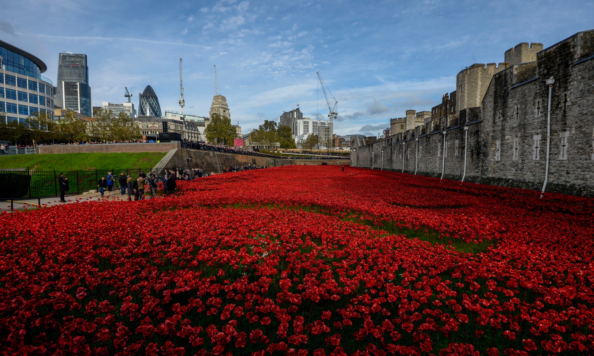 Tower of London poppies artist received death threats