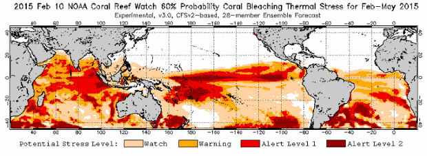 World's coral reefs face major bleaching event this year, US agency ...