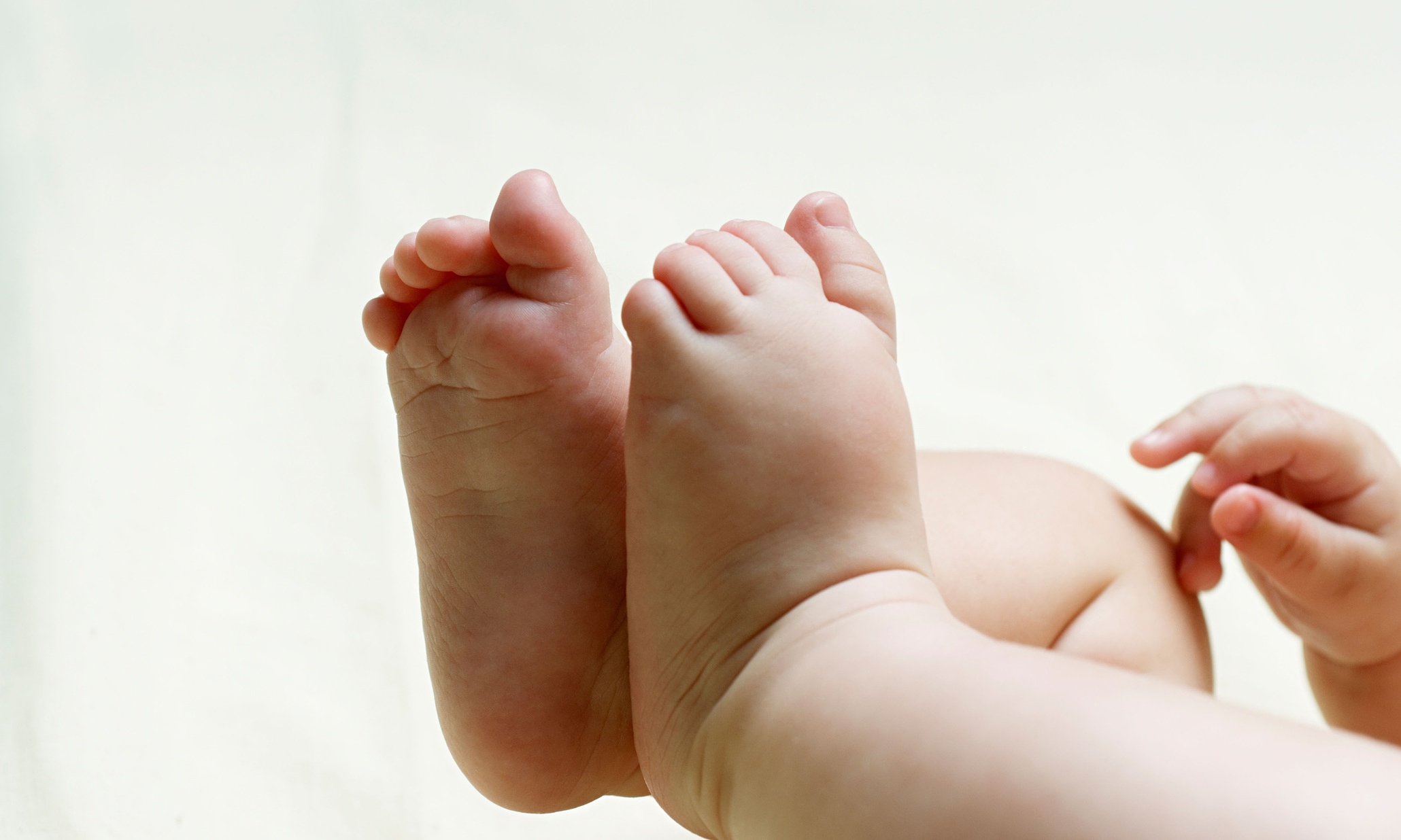 Church ‘irresponsible’ for trying to sway MPs against mitochondrial donation law