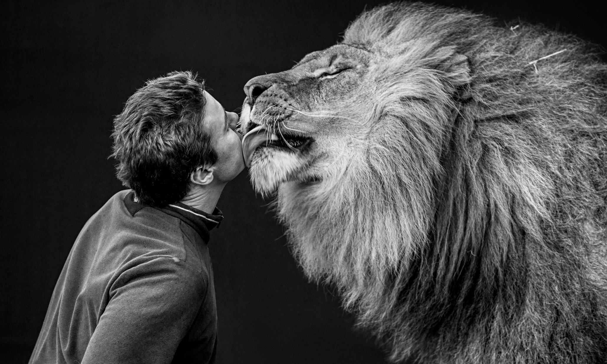 Britains Last Lion Tamer Stage The Guardian 