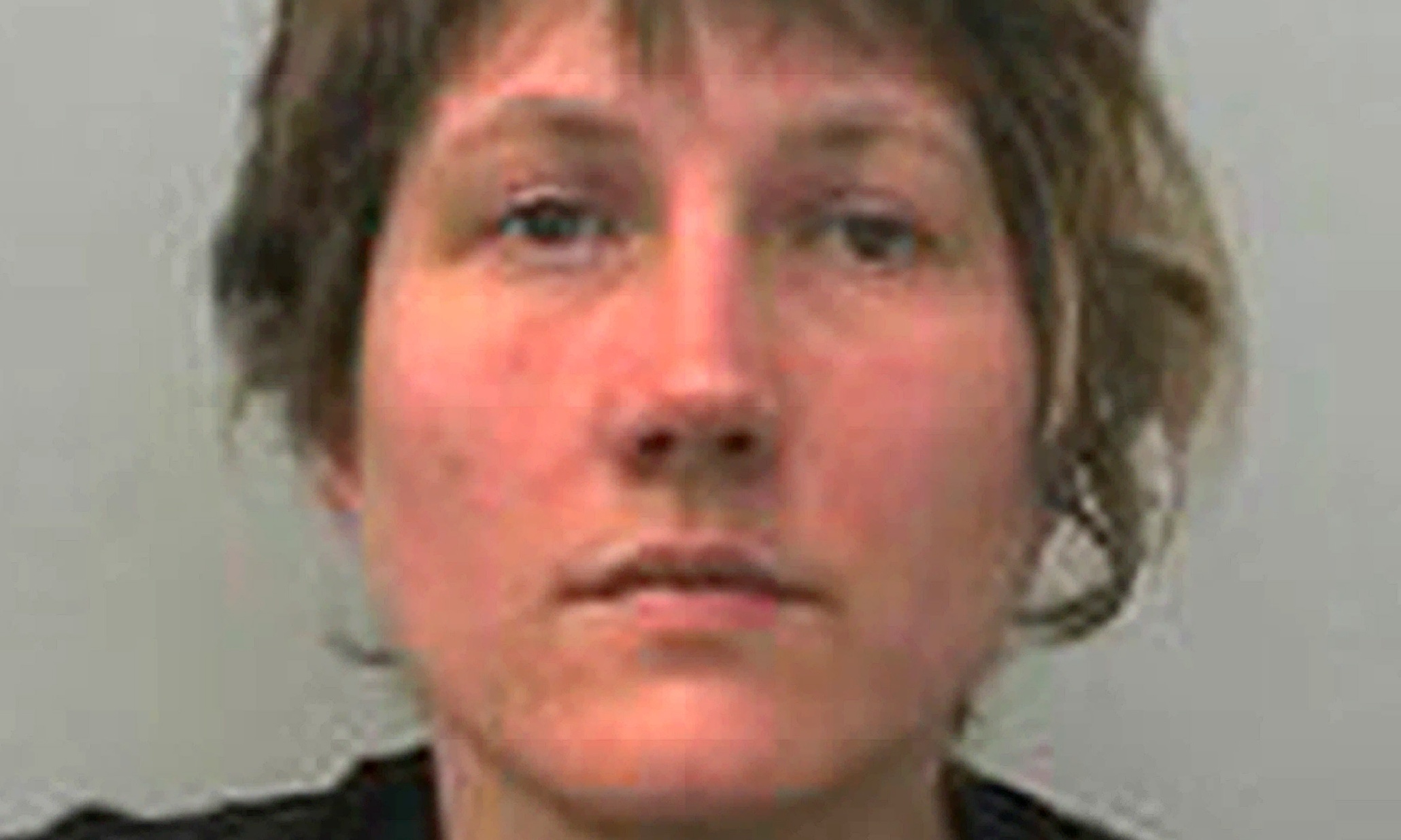 Bristol activist jailed for two years for targeting police cars with tyre spikes