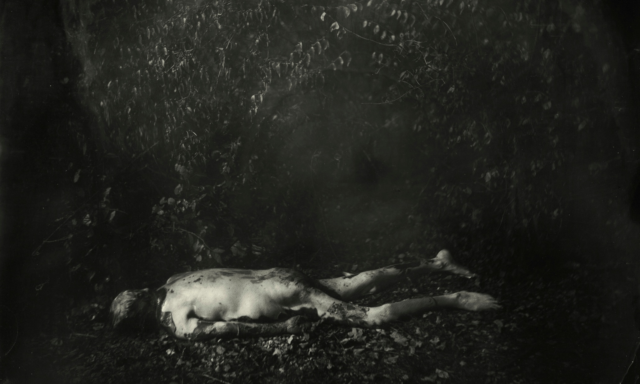True crime: the women making art out of murder