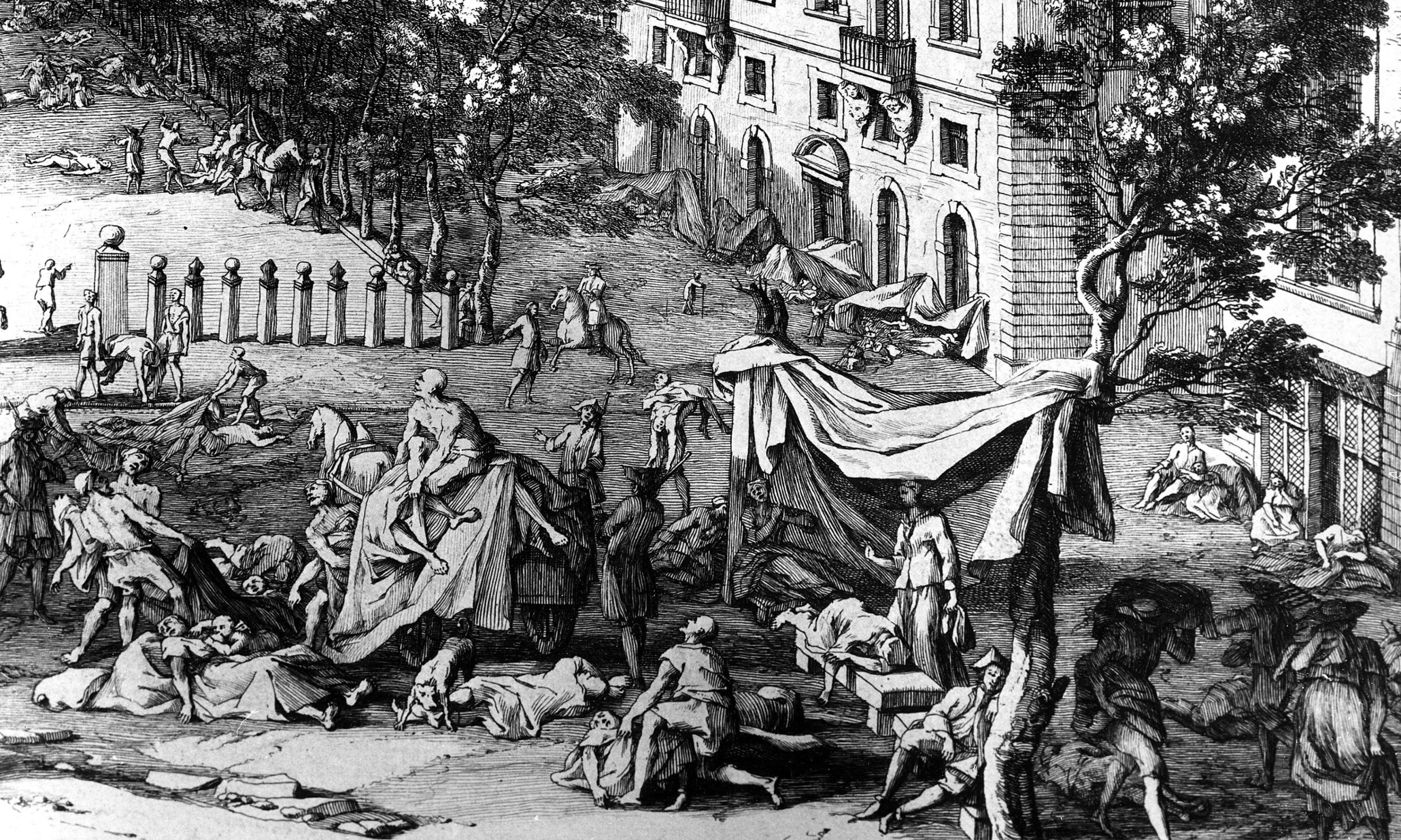 Great Gerbils Not Black Rats Were Chief Cause Of The Great Plague 