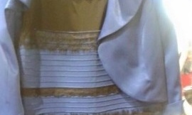 The dress quandary: 'It's an illusion. But everything is an illusion'