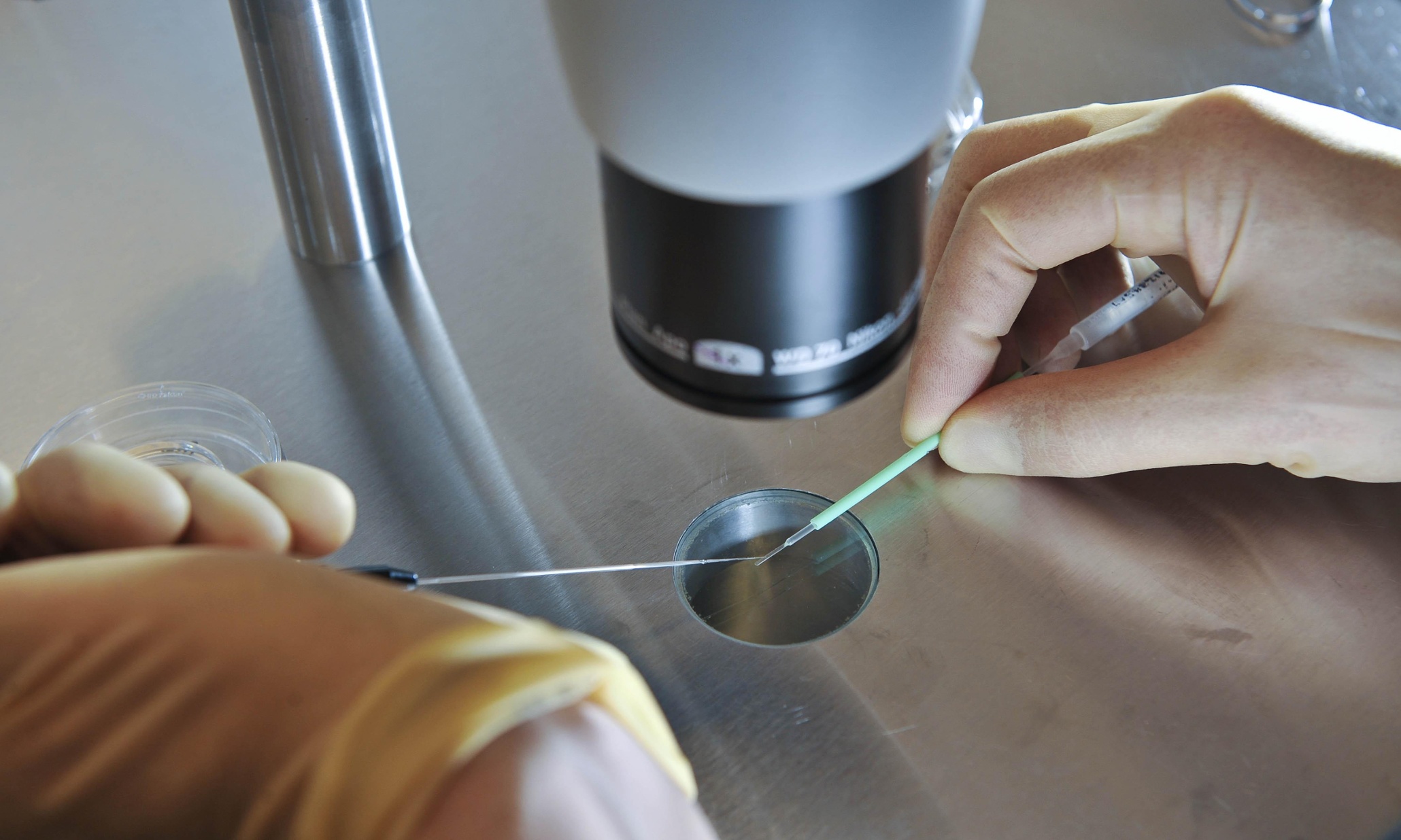 MPs vote in favour of 'three-person embryo' law