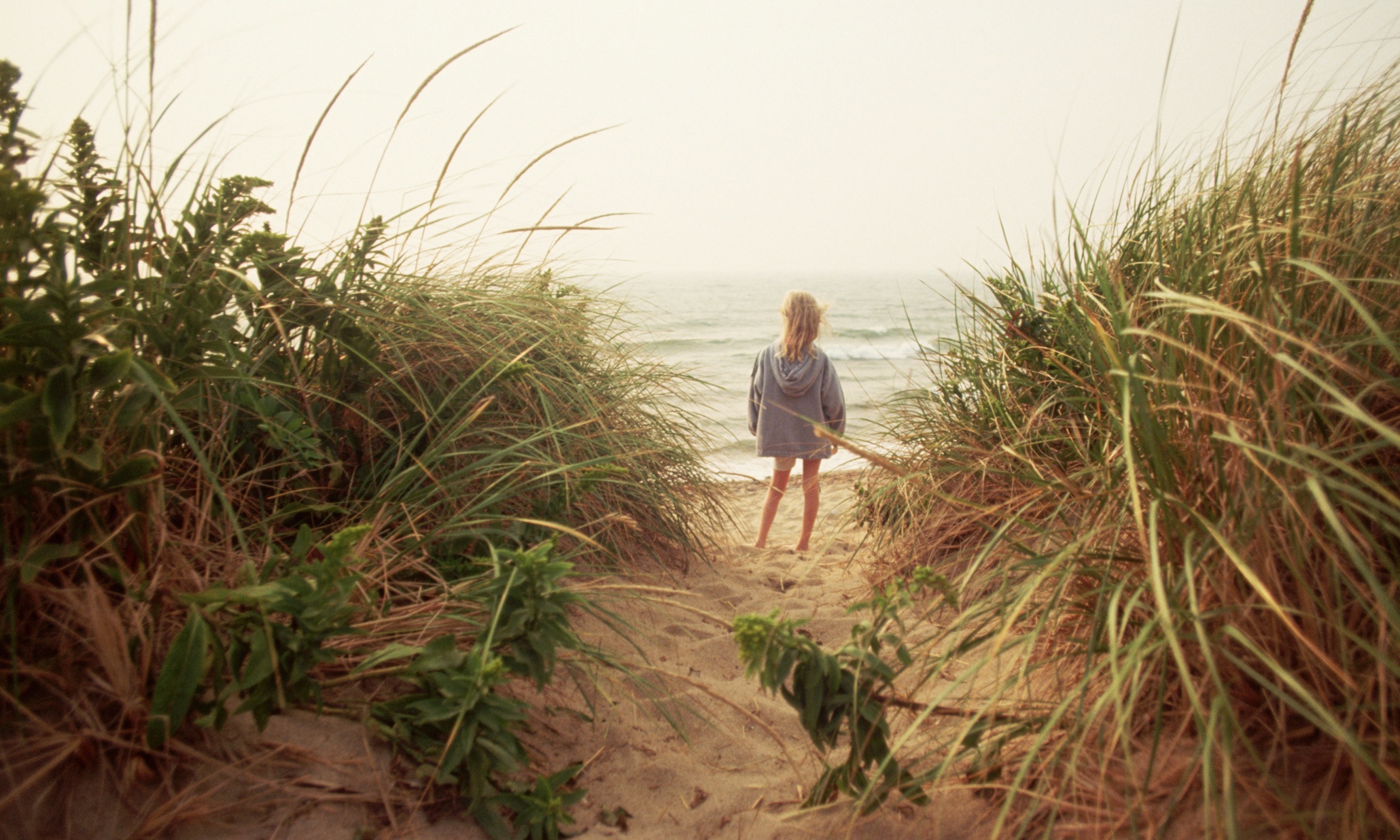 From scavenging seaweed to swearing, Rhode Island plans to ditch archaic laws