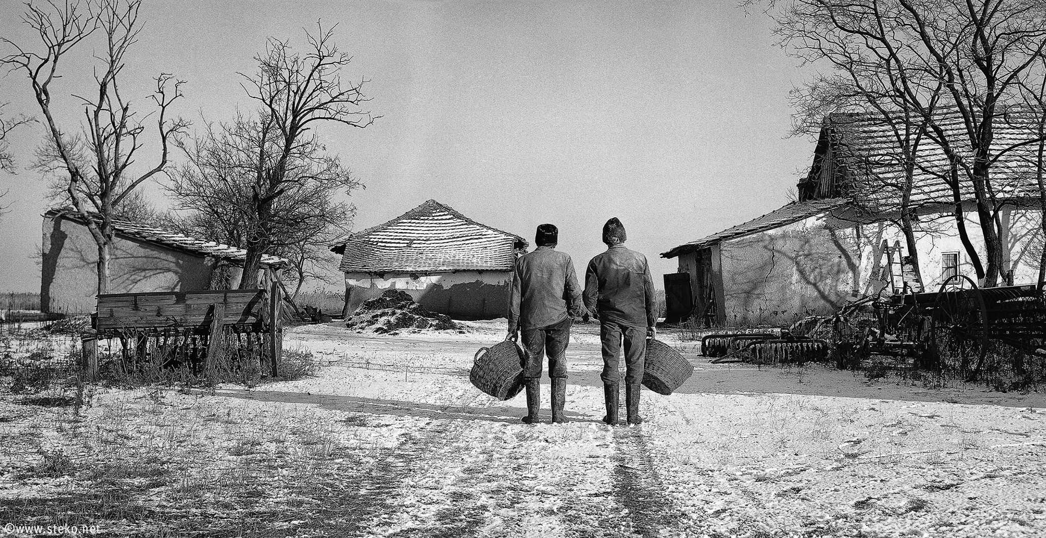 It's a twin thing: the identical brother farmers from Hungary – in pictures