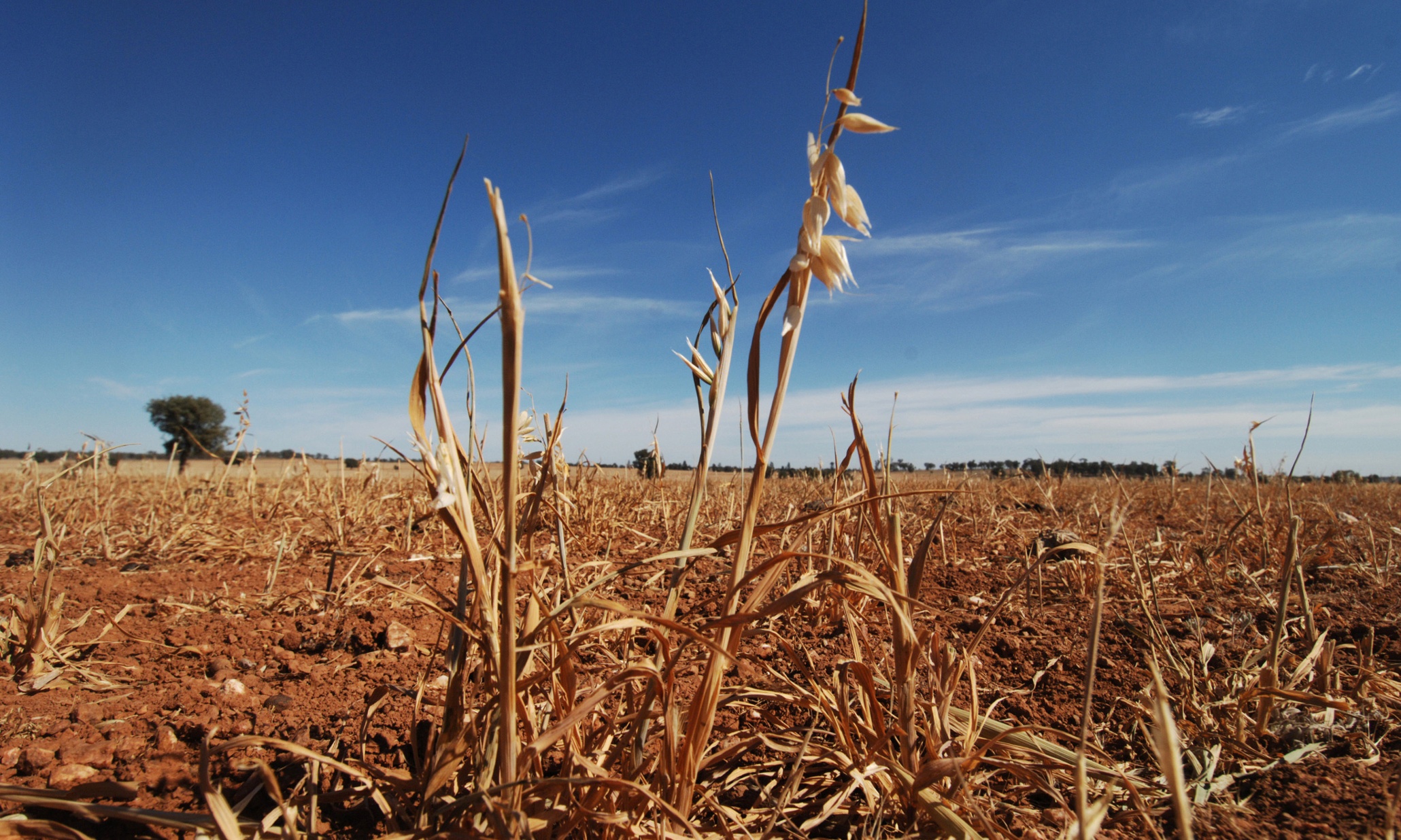 Climate Change In Australia Essay