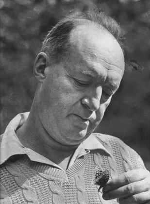 Vladimir Nabokov