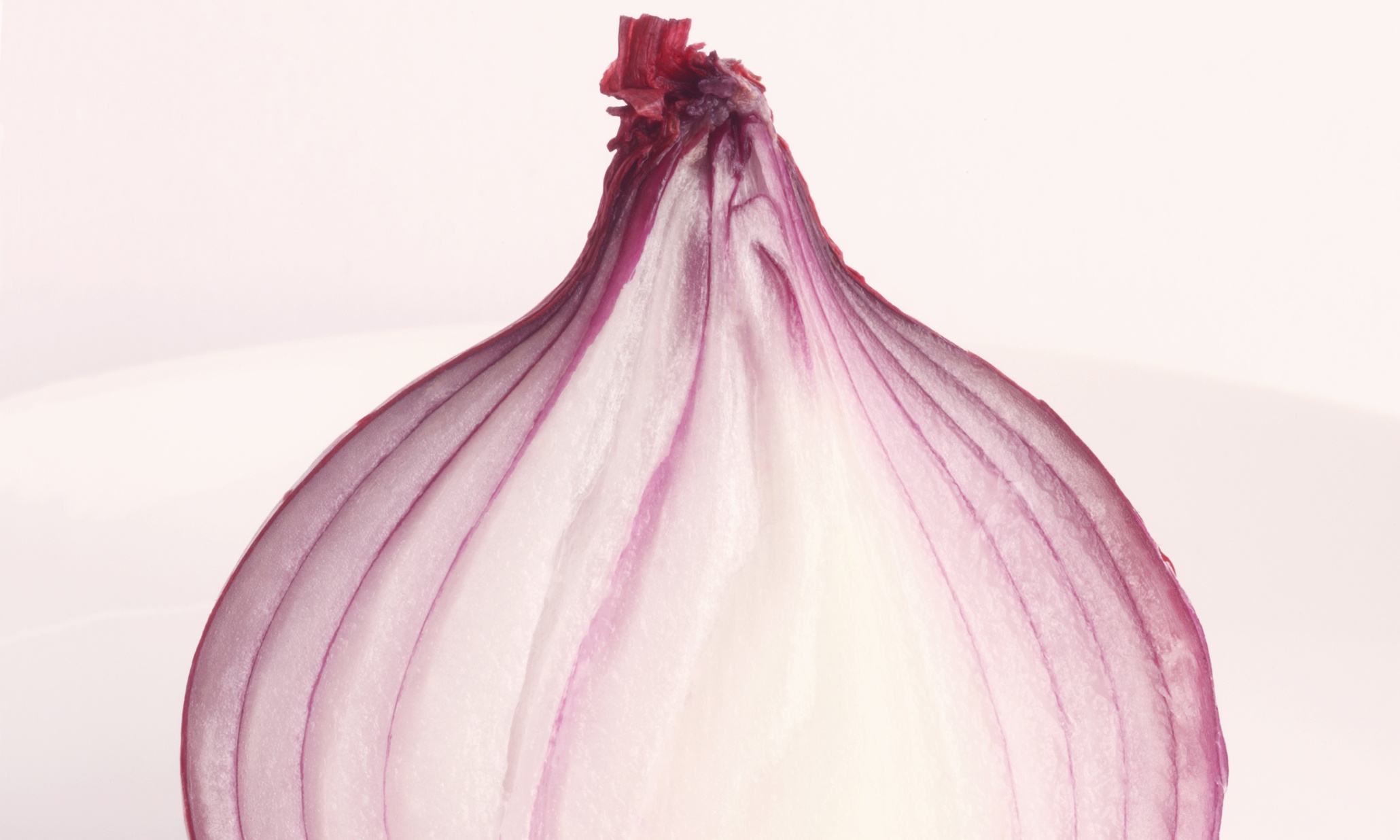Onions CAN taste like apples: the Tony Abbott effect | Dean Burnett