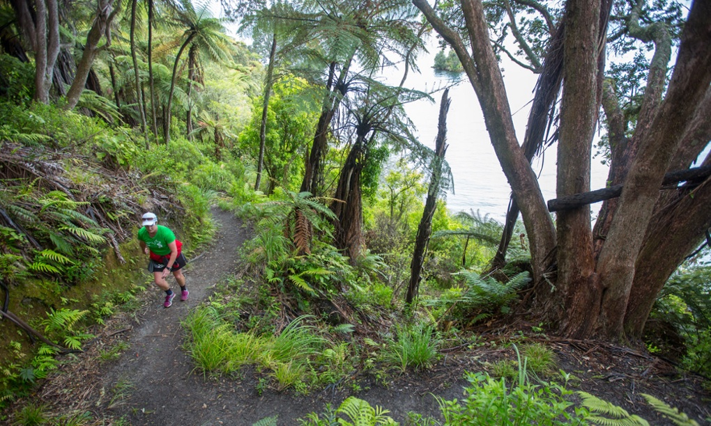 the-top-trail-races-in-minnesota-in-2020-trail-races-minnesota