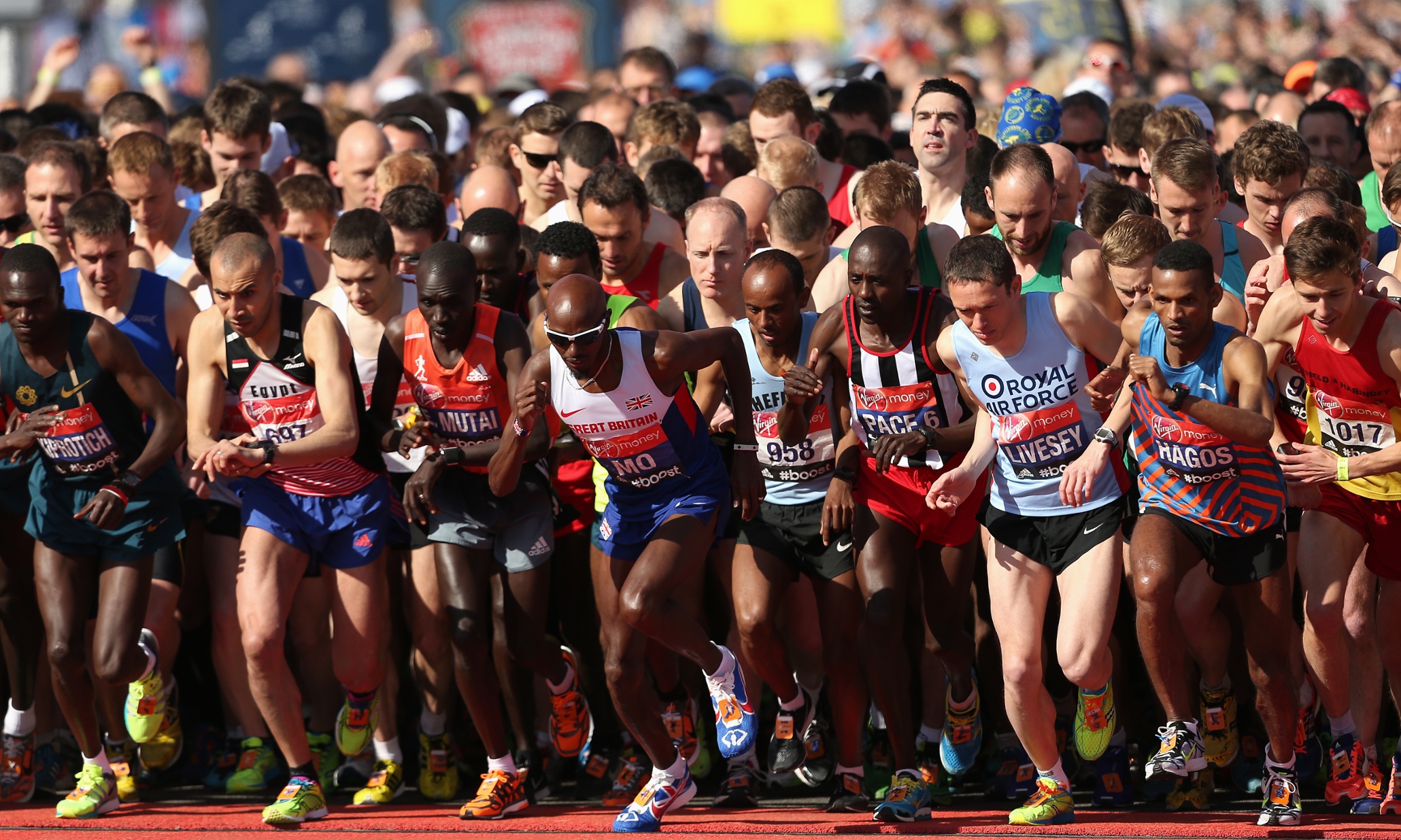 Let's learn the rules of the digital road before talking about a web Magna Carta