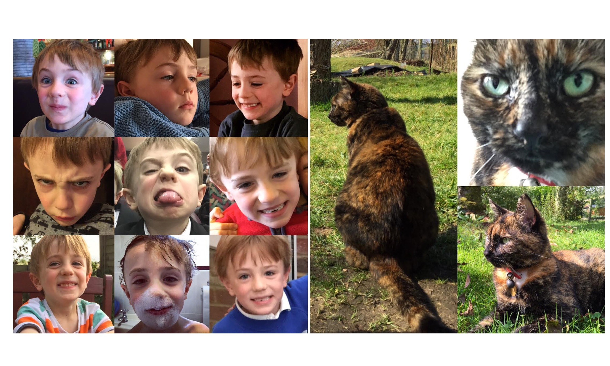Instagram launches standalone Layout app for photo collages