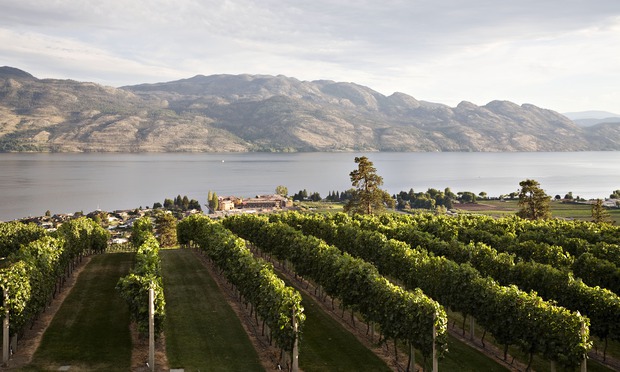 10-of-the-best-wineries-to-visit-in-canada-in-pictures-explore