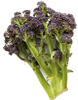 Brocolli