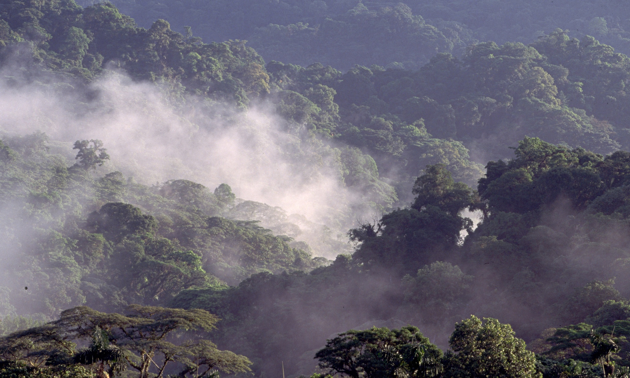 The truth behind Costa Rica's renewable energy - The Guardian