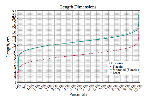 What is the average penis size Find out with this interactive