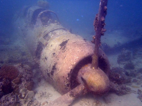 Japanese second world war fighter plane off Anelaua Island.