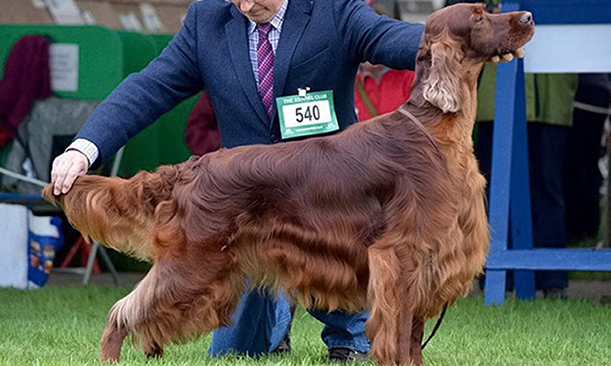 What Day Is Utility At Crufts 2023