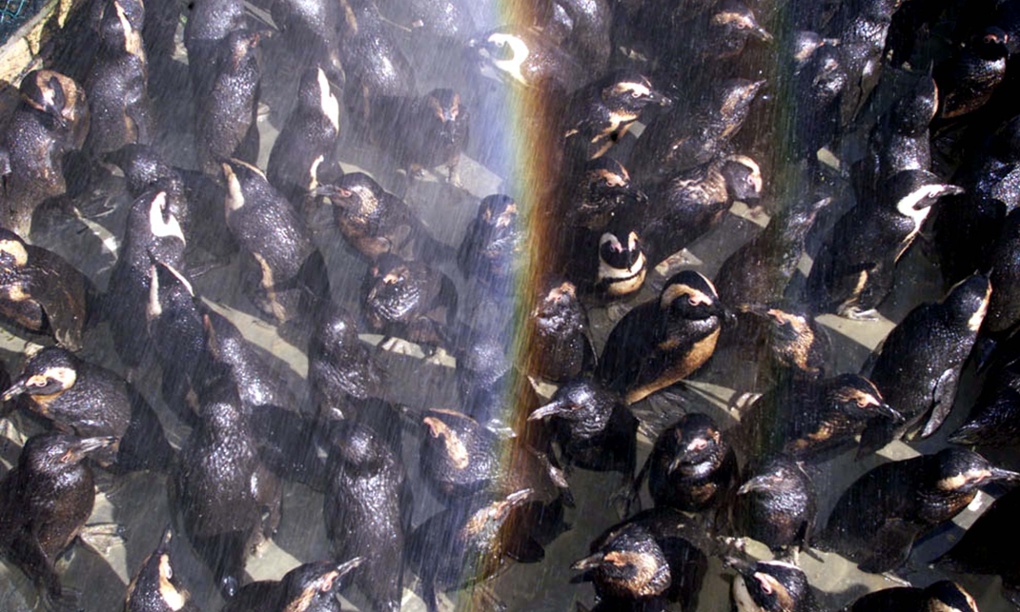 Large numbers are dehumanising, so should big data worry us?