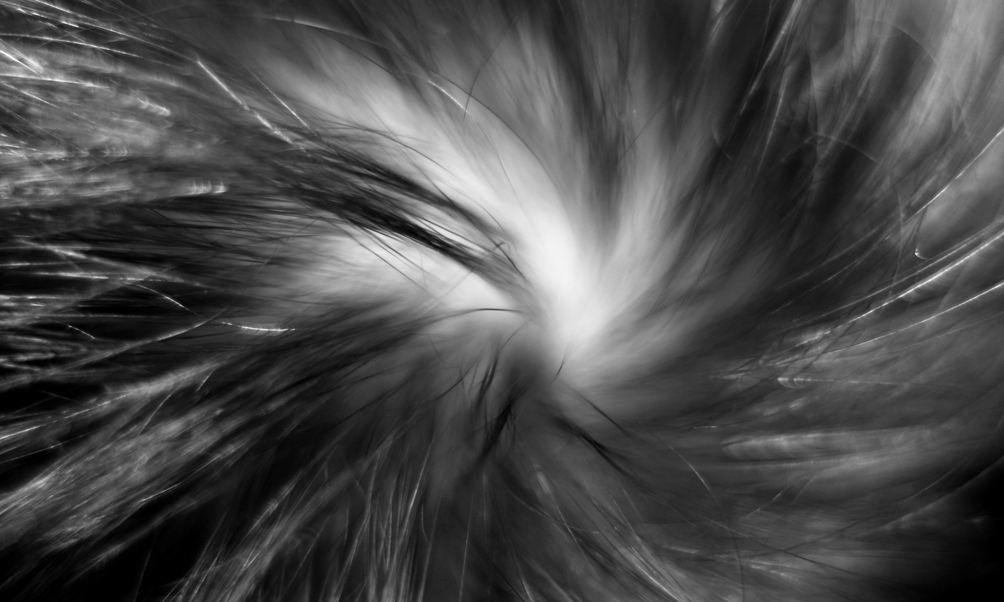 Thirty years in jail for a single hair: the FBI's 'mass disaster' of false conviction