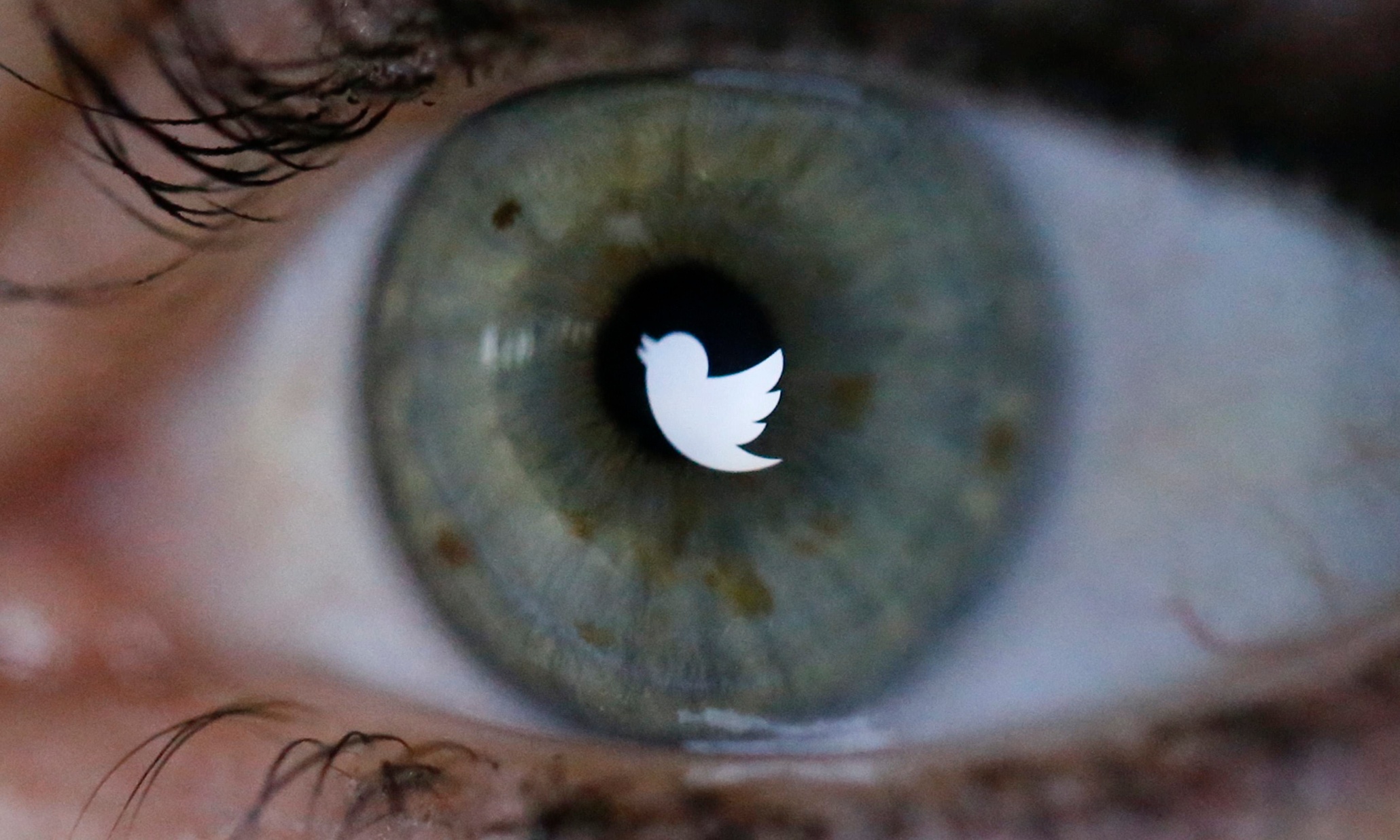 Twitter boss confirms plans to expand curated 'experiences' to all users
