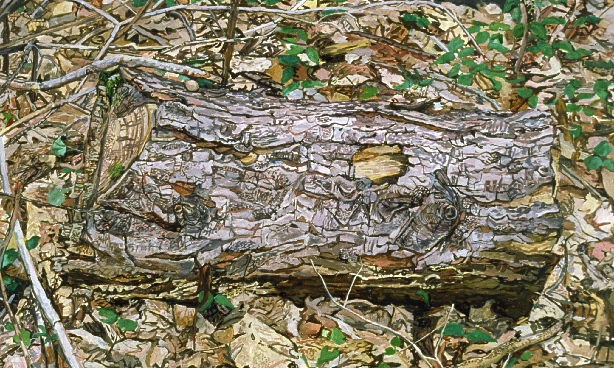 Ellen Altfest, Columbidae, Jo Baer: this week’s new exhibitions