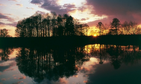A lake at sunset in Bialowieza forest national park, Poland.