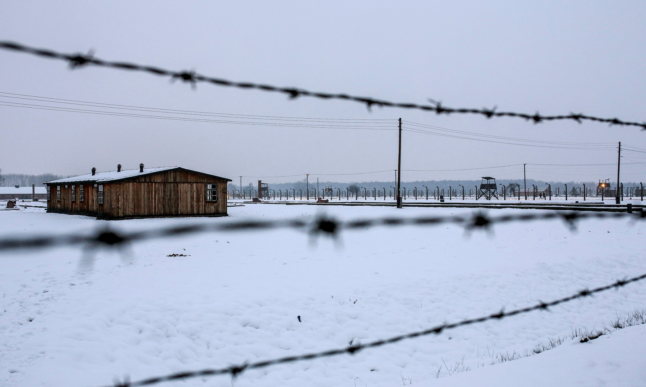 My grandparents rejected the Holocaust survivor label. They weren't alone | Yuliya Komska