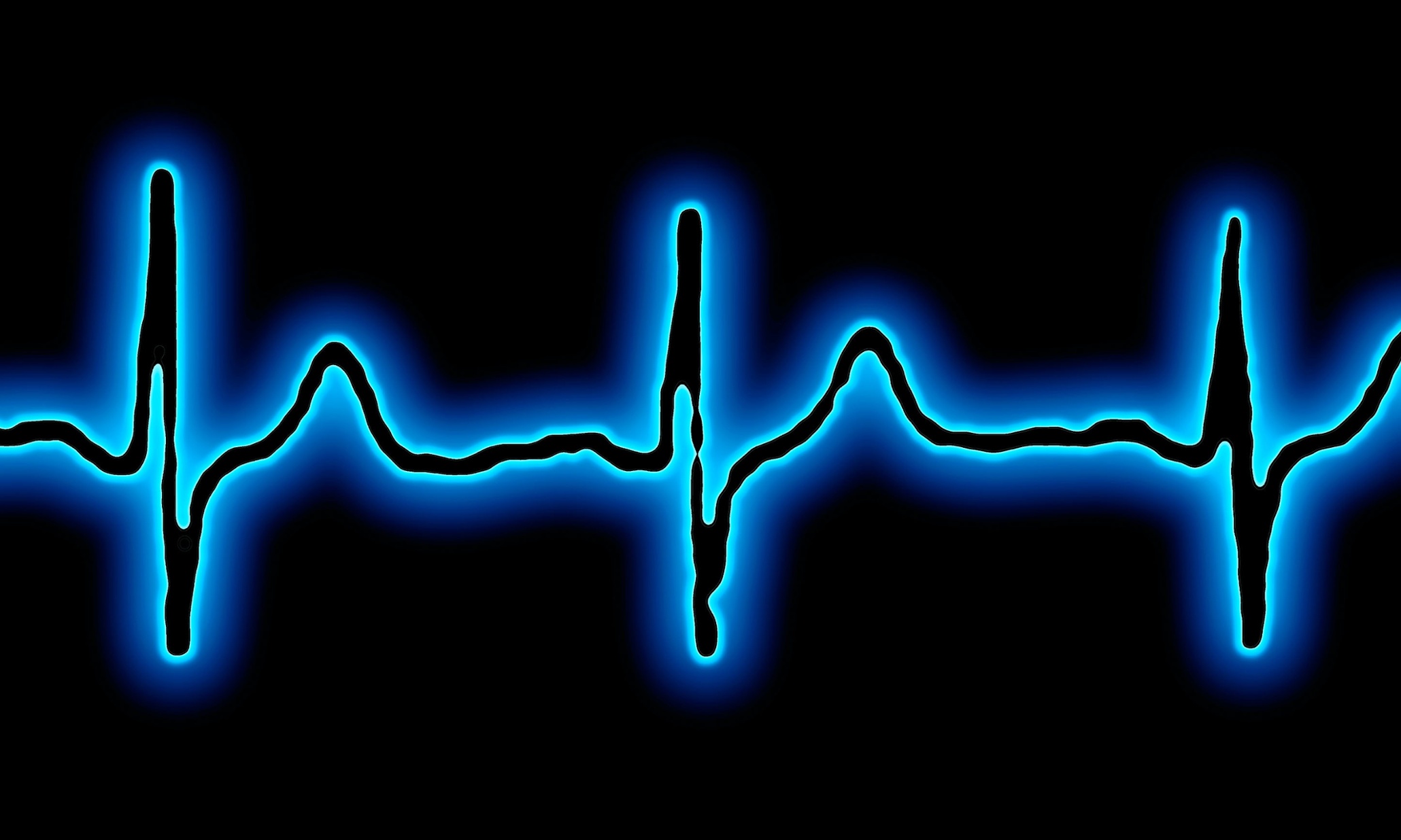 Shorter people at greater risk of heart disease, new research finds