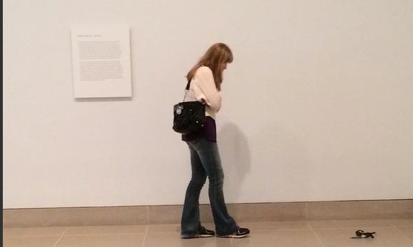 Smirk of art: Dallas museum prankster's satirical display makes us laugh – at him