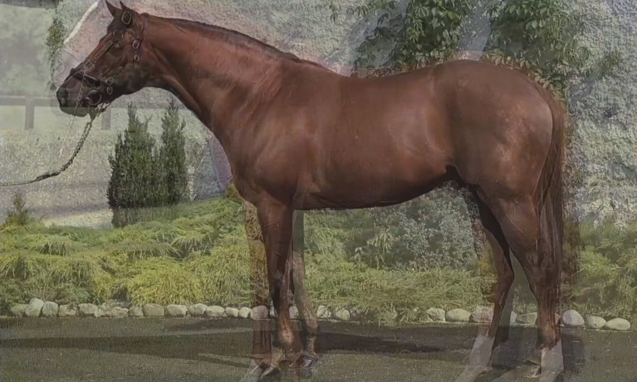 John Stezaker, Zabludowicz, Simon Le Ruez: this week’s new exhibitions