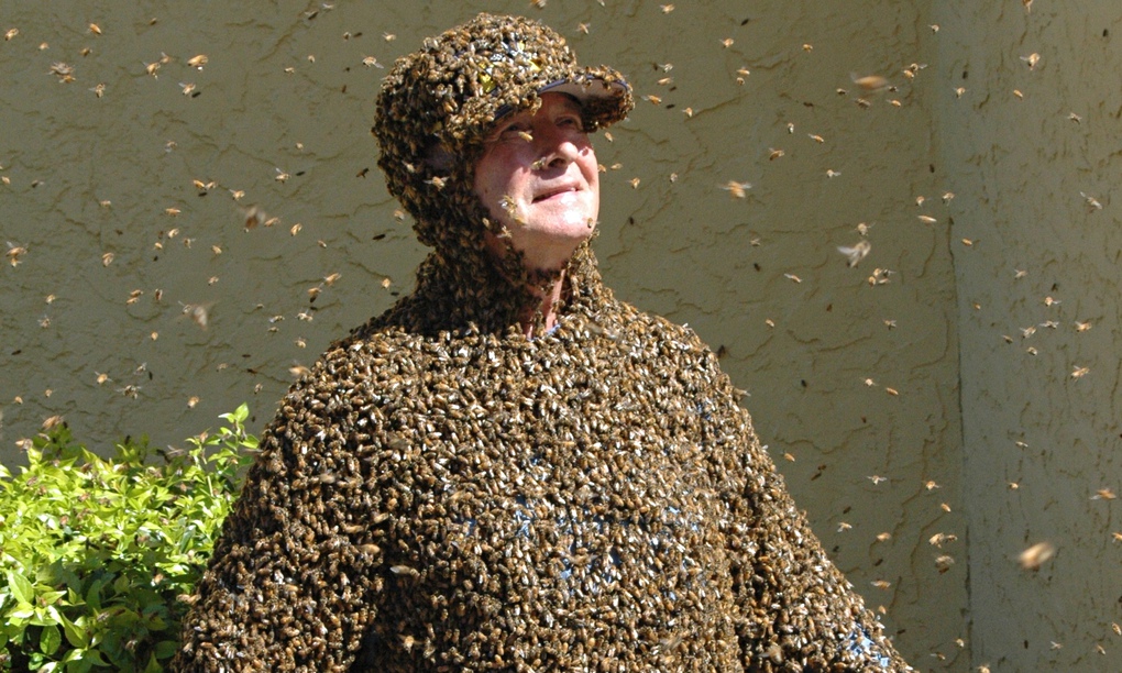 Dont Panic How To Escape A Swarm Of Bees Environment The Guardian