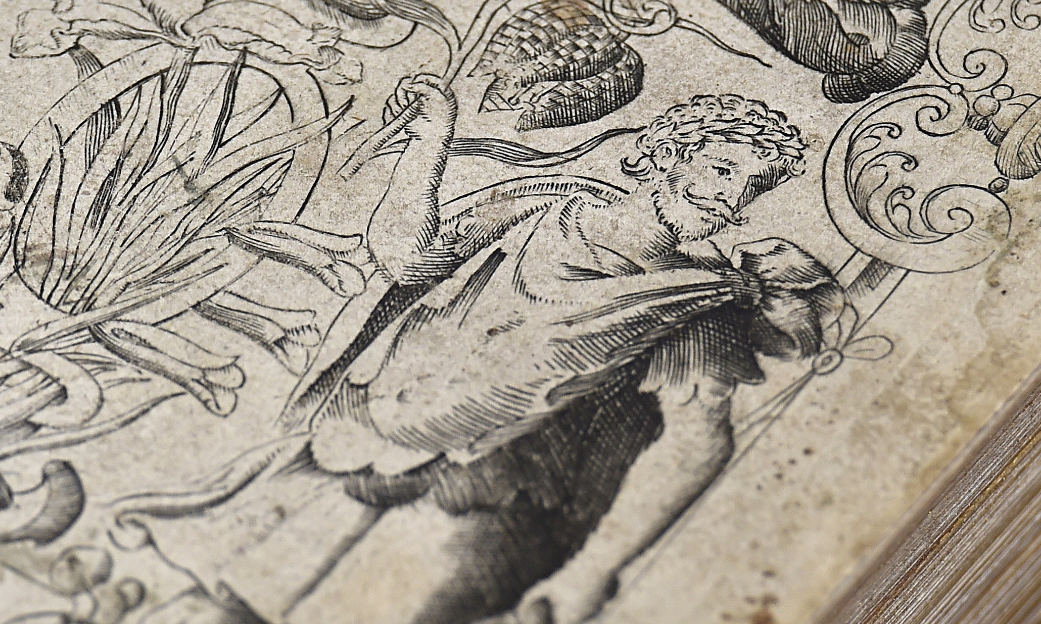 Why do we want this to be Shakespeare’s ‘true portrait’ so much? | Charlotte Higgins