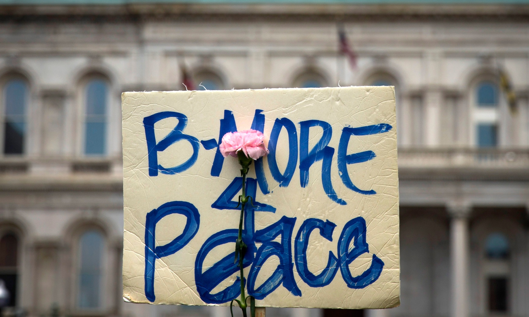 Why Baltimore and Ferguson might embrace gardening and find healing  | Marianne E Krasny